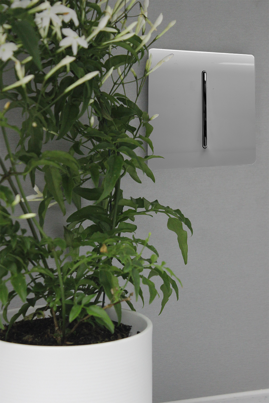Light Grey Wiring Accessories Trendi Decorative Screwless Light Grey Wiring Accessories Trendi Decorative Screwless